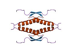 PDB 1sak EBI.jpg