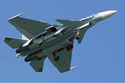 Russian Air Force Sukhoi Su-33 Bubin-1.jpg