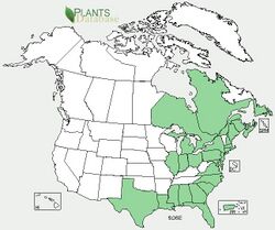 Solidago sempervirens range map.jpg