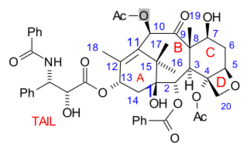 TaxolNumberingScheme.svg