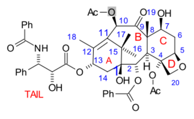 Taxol numbering scheme