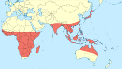 Tholymis tillarga distribution map.svg