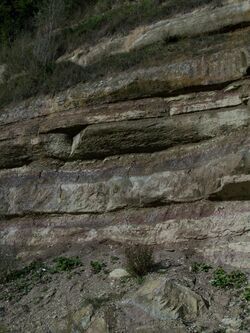 USM fluviatile sandstone Wallenried.JPG