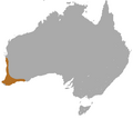 Western Brush Wallaby area.png