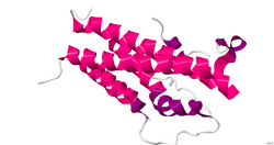 1Z7C.pdb.png