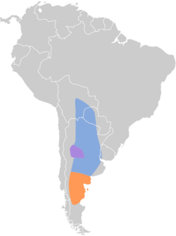 Agriornis murinus map.svg
