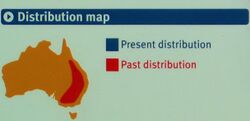 Bridled nailtail wallaby-distribution map.JPG