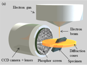 Pictorial diagram showing the major components of a field emission gun scanning electron microscope. The electron gun is at the top. Below the gun is a disk of diffraction cones in which the specimen is embedded at an oblique angle. To the left of the sample is a CCD camera assembly, including lenses and a phosphor screen. The electron beam emerges from the gun, impinging on the side of the sample facing the camera.