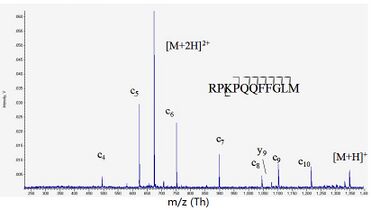 ECD MS/MS mass spectrum of Substance P by using a digital ion trap mass spectrometer