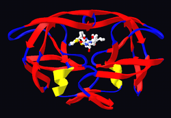 HIV protesase with ritonavir.png