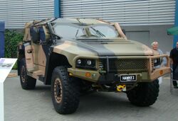 Hawkei DSC02320.JPG