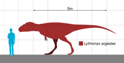 Diagram of a left-facing tyrannosaur, in a red silhouette, compared to a human in blue on its left