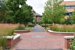 The green space at the center of North Park's campus. The building in the distance is Brandel Library.