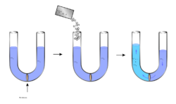 Progression: (1) a U-tube is filled with water and has a membrane in the middle (2) sugar is added to the left part (3) water crosses the membrane and fills the left side more than the right.