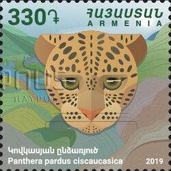 Panthera pardus ciscaucasica Flora and Fauna of Armenia Stamps of Armenia 2019.jpg