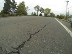 Pavement cracks (15736896886).jpg