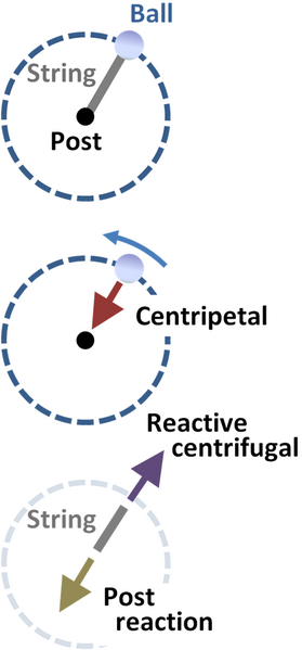 File:Reactive centrifugal force in uniform circular motion.PNG