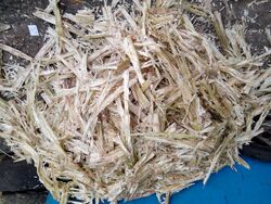 Sugarcane bagasse.jpg