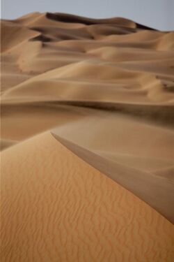 The Desert Ultra - Sand Dunes.jpg
