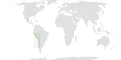 Andean Swift ebird data map.png