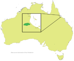 Argophyllum palumense distribution map.png