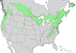 Corylus cornuta range map 2.png