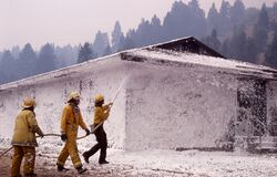 Firefighters spray foam.jpg