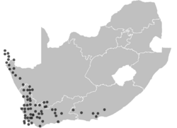 H. coccineus distribution.png