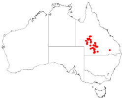 Hakea collinaDistMap24.png