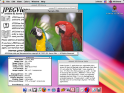 JPEGView version 3.3.1 running on Mac OS X Classic Environment.png