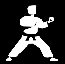 Karate logo