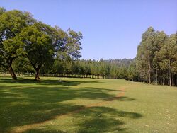 Kisii Golf course.jpg