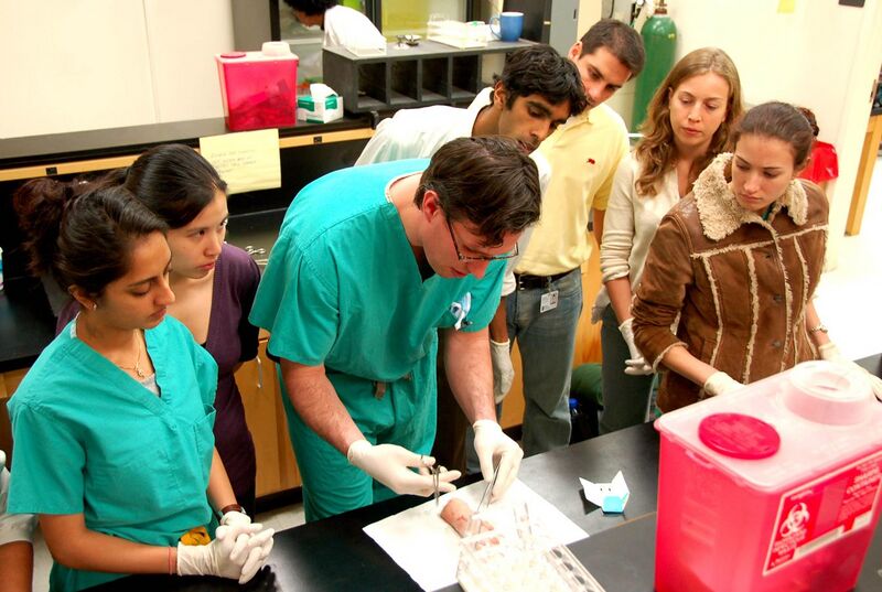 File:Medical students learning about stitches (2760577402).jpg