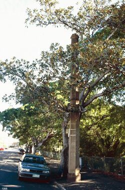 Monier Ventilation Shaft 2 (Spring Hill) (1998).jpg