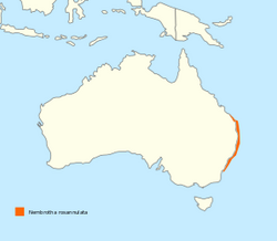 Nembrotha rosannulata distribution map.png