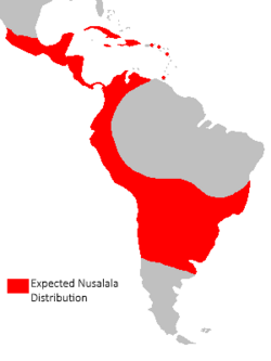 Map of South America, Central America, México and The Caribbean, showing the range of Nusalala, limited by rain forest and steppes