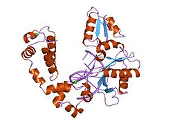 PDB 1zqd EBI.jpg