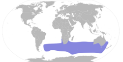 Pterodroma macroptera map.svg
