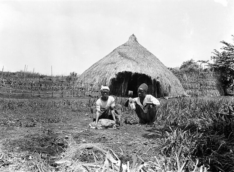 File:Sleeping sickness commission photos Wellcome L0049110.jpg
