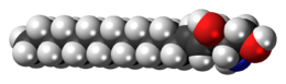 Space-filling model of the sphingosine molecule