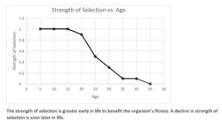 Strengthofselectionplot.png