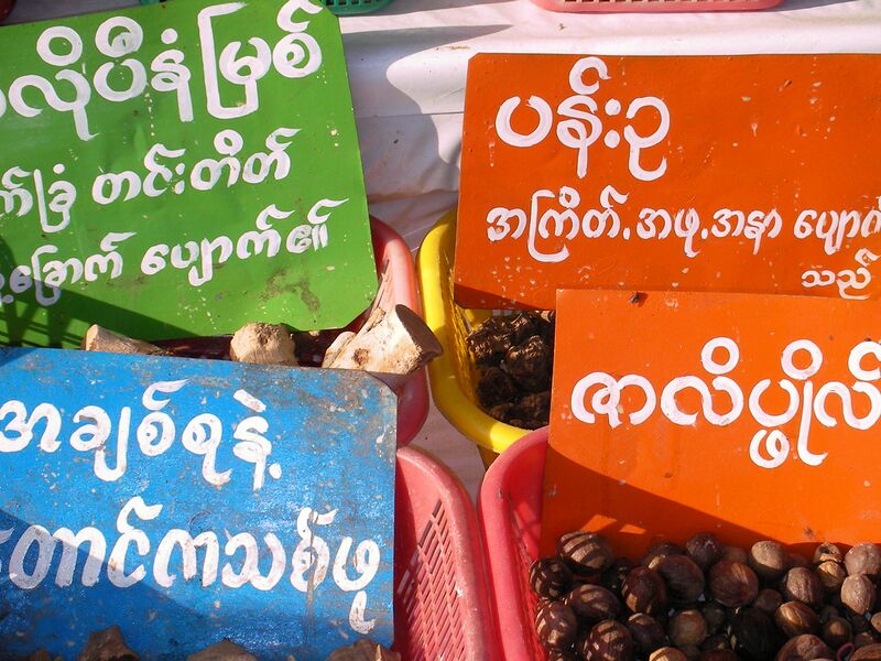 File:Vendeurs de plantes médicinales vers Kyaiktiyo Paya.jpg