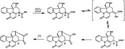 10 strychnine.jpg