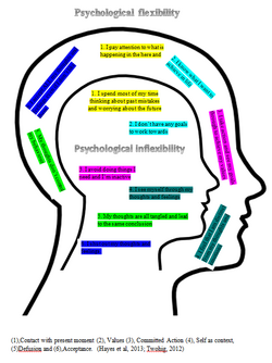 ACT Psychological flexibility vs inflexibility.png