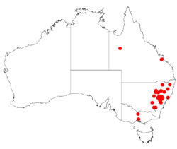 Acacia caesiellaDistMap150.png