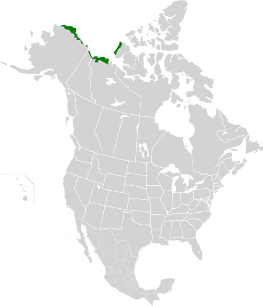 File:Arctic coastal tundra map.svg