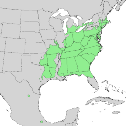Cornus florida range map 1.png