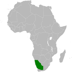 Eremopterix australis distribution map.png