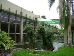 Jardim do Centro de Ciências Matemáticas e Natureza (CCMN) da Universidade Federal do Rio de Janeiro (UFRJ).jpg