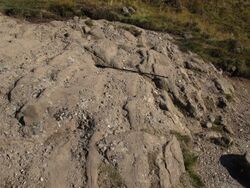 Lower Devonian sandstone & conglomerate Bealach Ard.JPG